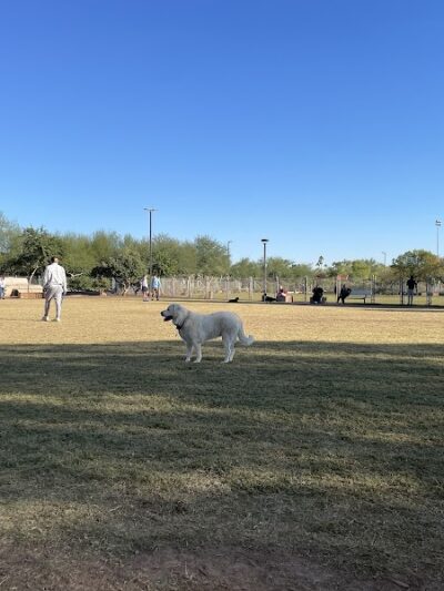 Chaparral Dog Park - Scottsdale, AZ