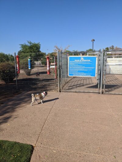 Chaparral Dog Park - Scottsdale, AZ