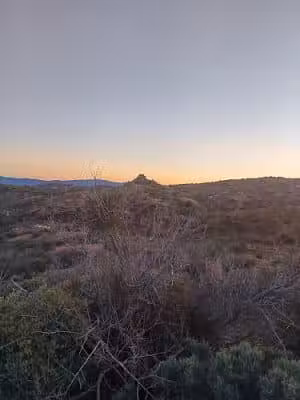 Desert Mountain Dog Park (private) - Scottsdale, AZ