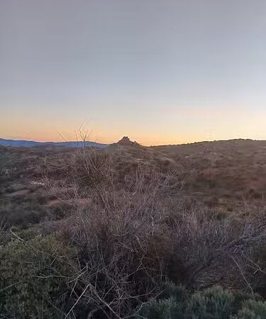 Desert Mountain Dog Park (private) - Scottsdale, AZ
