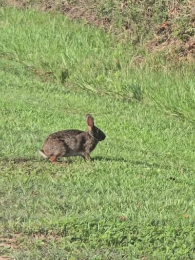 Friendship Park - Seabrook, TX