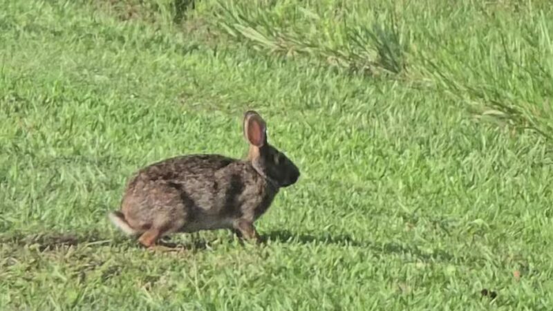 Friendship Park - Seabrook, TX