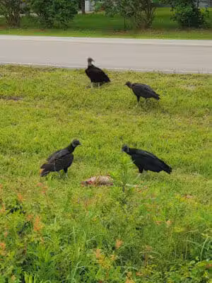 Baybrook Park - Seabrook, TX