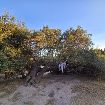 Ragle Ranch Park - Sebastopol, CA