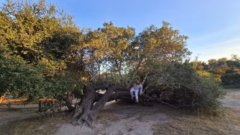 Ragle Ranch Park - Sebastopol, CA