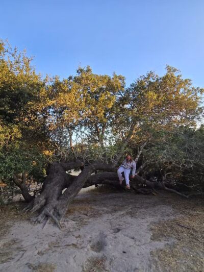 Ragle Ranch Park - Sebastopol, CA