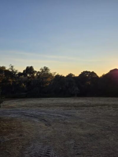 Ragle Ranch Park - Sebastopol, CA