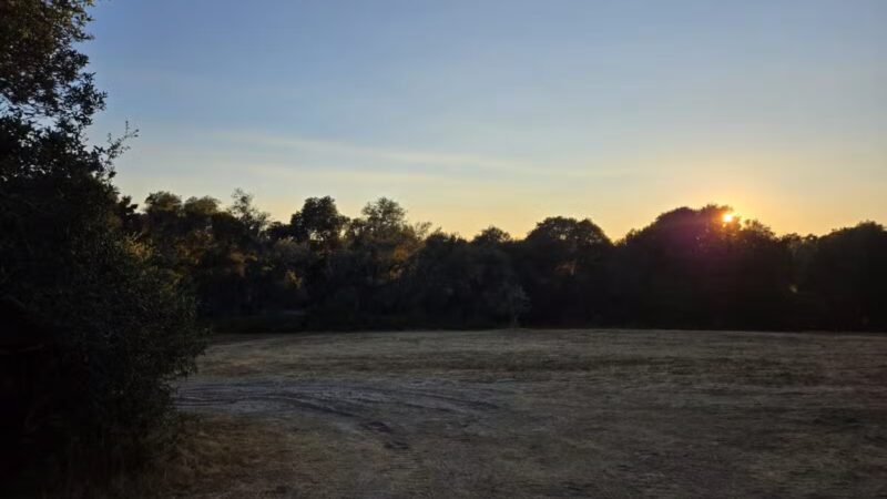 Ragle Ranch Park - Sebastopol, CA