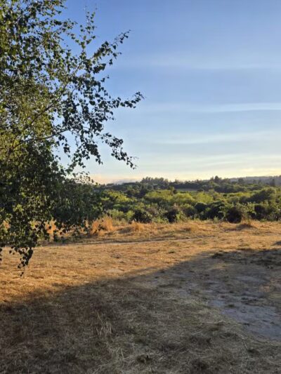 Ragle Ranch Park - Sebastopol, CA