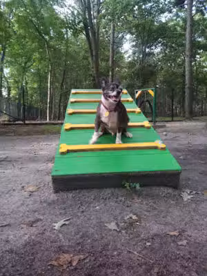 Selden Dog Park - Selden, NY