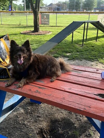 Sellersburg Dog Park - Sellersburg, IN