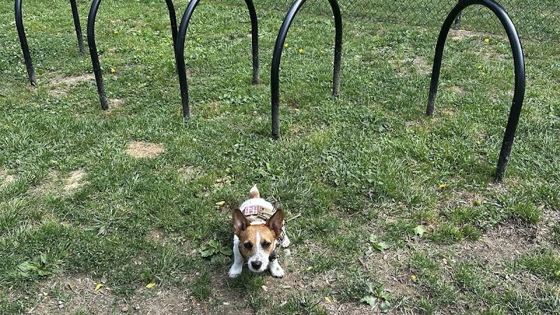 Sellersburg Dog Park - Sellersburg, IN