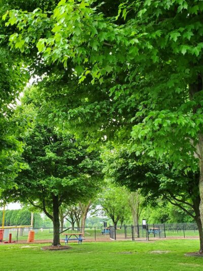 Sellersburg Dog Park - Sellersburg, IN