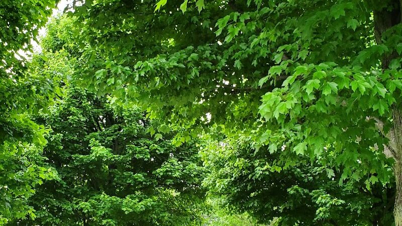 Sellersburg Dog Park - Sellersburg, IN