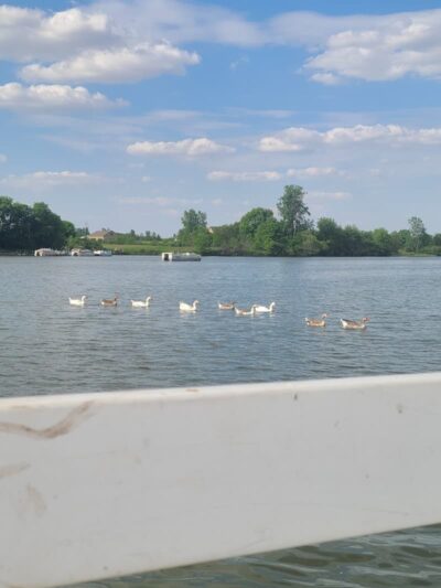 Prairie Creek Park - Selma, IN