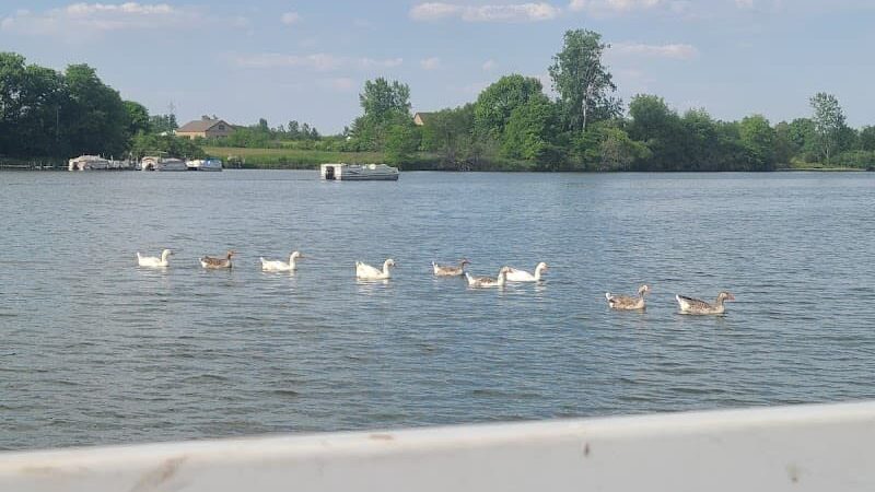 Prairie Creek Park - Selma, IN