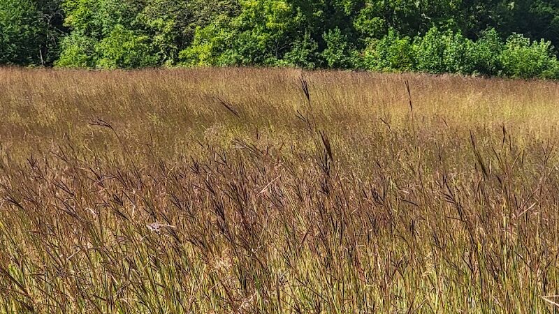 Red-tail Nature Preserve - Selma, IN