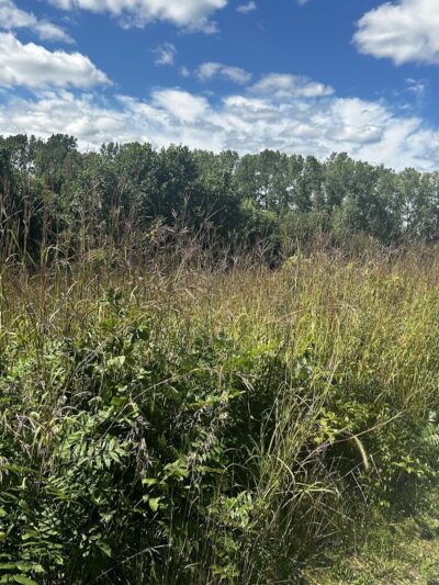 Red-tail Nature Preserve - Selma, IN