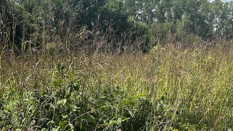 Red-tail Nature Preserve - Selma, IN