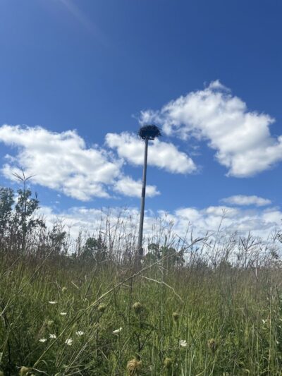 Red-tail Nature Preserve - Selma, IN