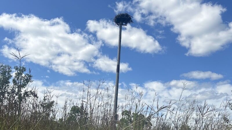 Red-tail Nature Preserve - Selma, IN