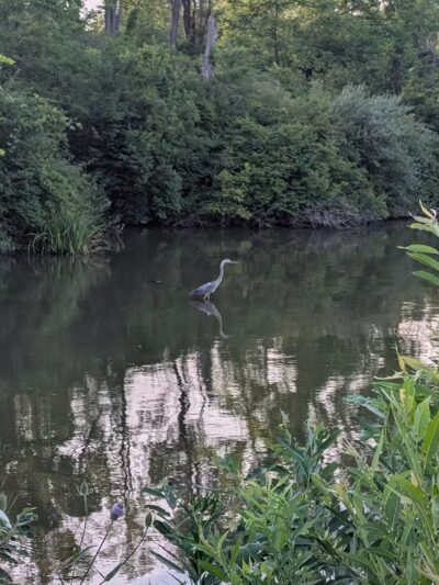 Prairie Creek Park - Selma, IN
