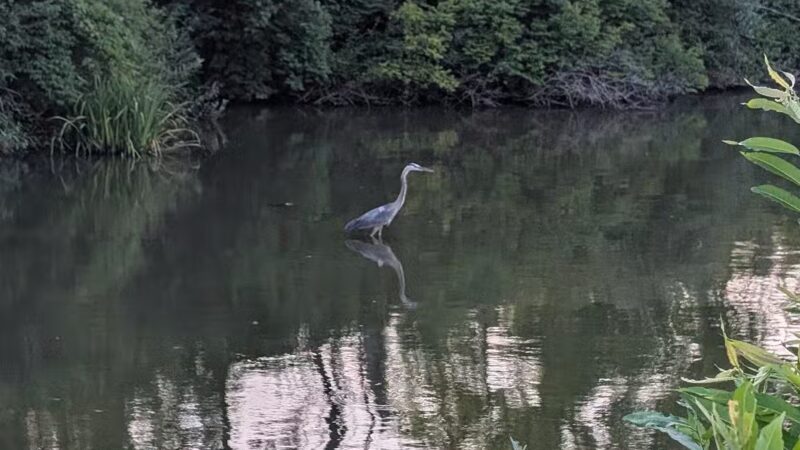 Prairie Creek Park - Selma, IN