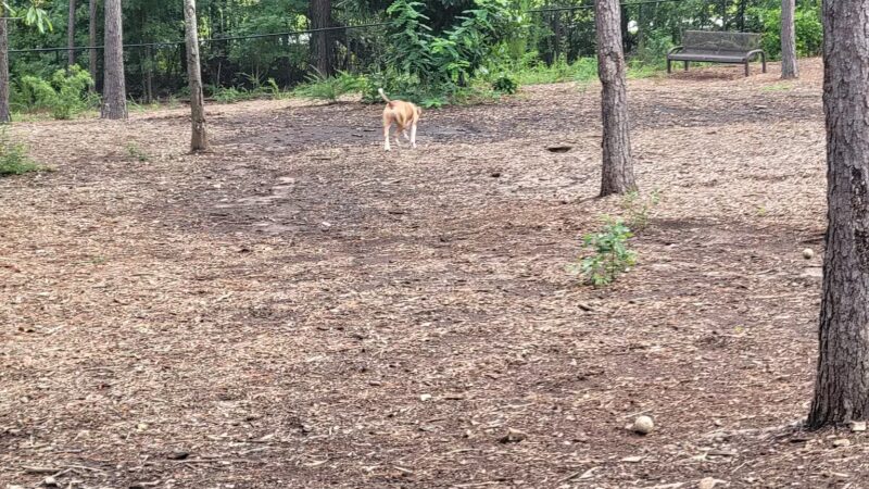Seneca PetSafe Dog Park - Seneca, SC