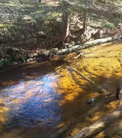 East Branch of the Fox River State Forest Campground - Seney,