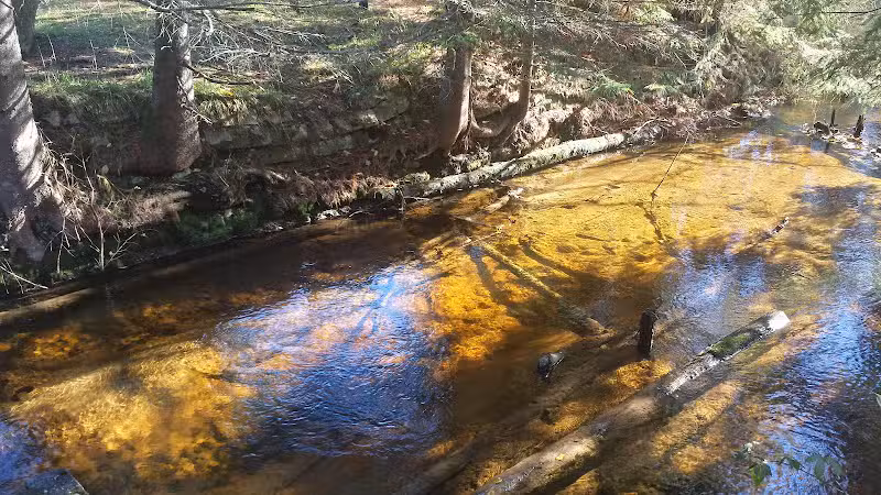East Branch of the Fox River State Forest Campground - Seney,