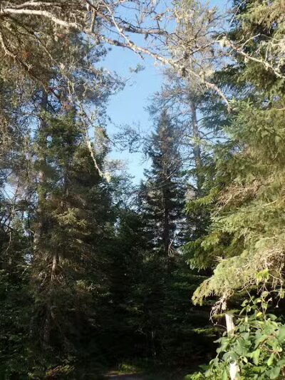 East Branch of the Fox River State Forest Campground - Seney,
