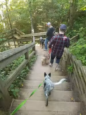 Sable Falls - Seney,