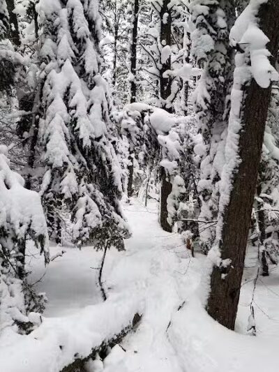 Sable Falls - Seney,