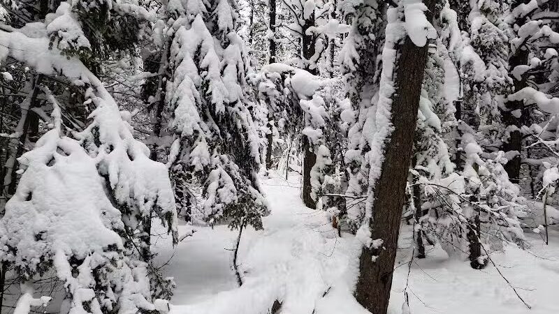 Sable Falls - Seney,