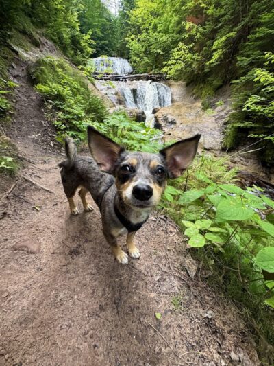 Sable Falls Trail Parking - Seney,