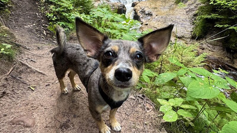 Sable Falls Trail Parking - Seney,