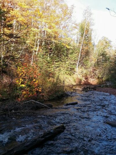 Sable Falls Trail Parking - Seney,
