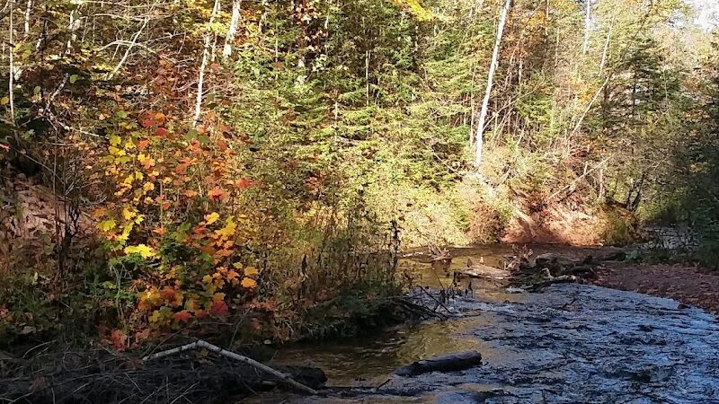 Sable Falls Trail Parking - Seney,