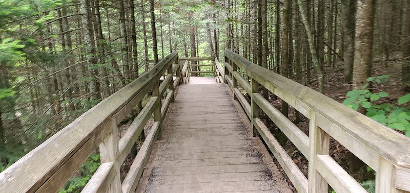 Sable Falls Trail Parking - Seney,