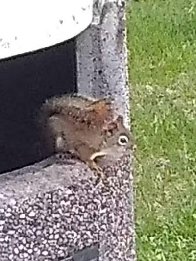 Seney Rest Area - Seney,