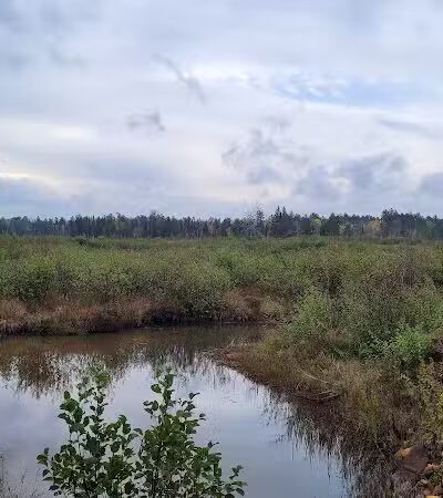 Show Pool Rest Area - Seney,