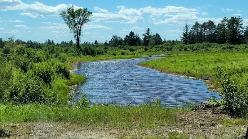 Show Pool Rest Area - Seney,