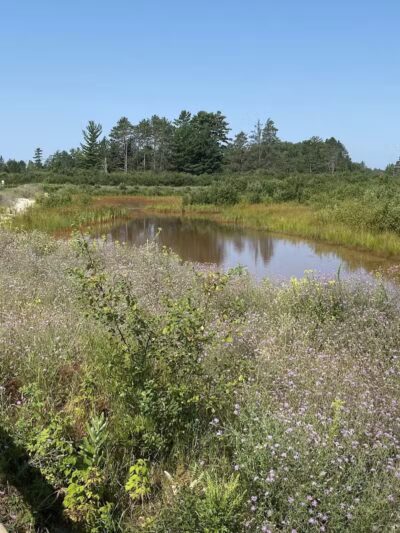 Show Pool Rest Area - Seney,