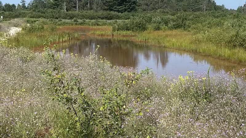 Show Pool Rest Area - Seney,