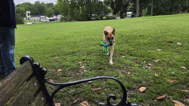 Sevierville Dog Park - Sevierville, TN