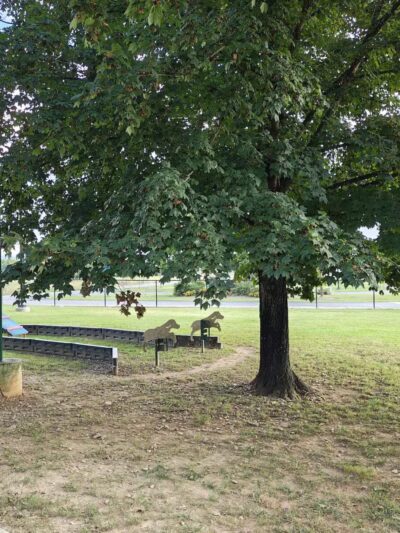 Sevierville Dog Park - Sevierville, TN