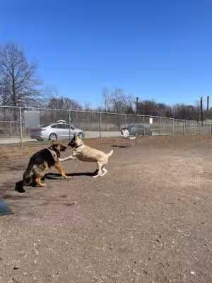 Woodbridge Dog Park - Sewaren, NJ