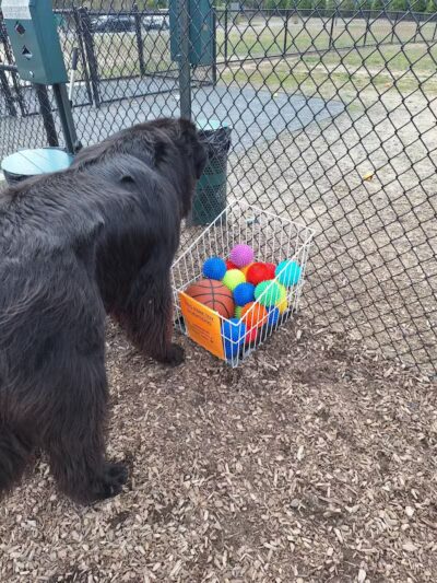 Cedar Lake Park at Washington Lake Park - Sewell,