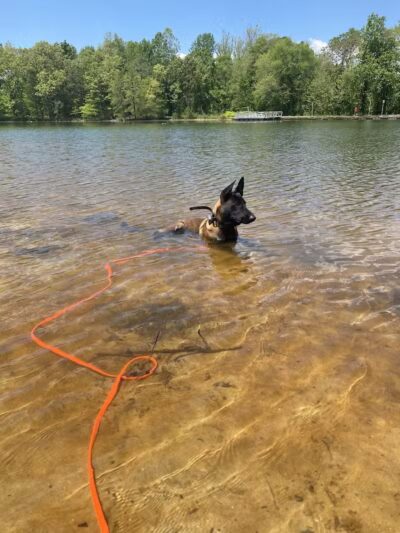 Cedar Lake Park at Washington Lake Park - Sewell,