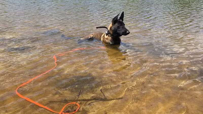 Cedar Lake Park at Washington Lake Park - Sewell,